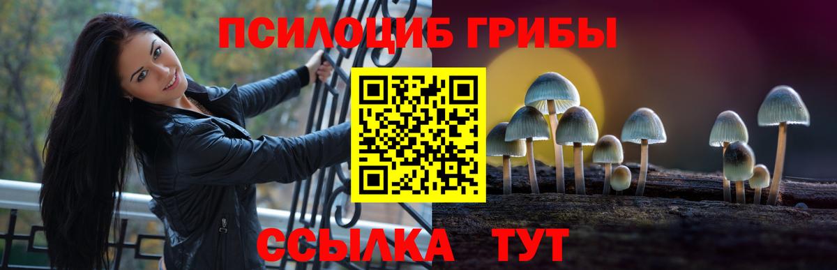 продажа наркотиков  Псилоцибиновые грибы Cubensis  Псилоцибиновые грибы ЛСД  Вход с VPN  Кимры 